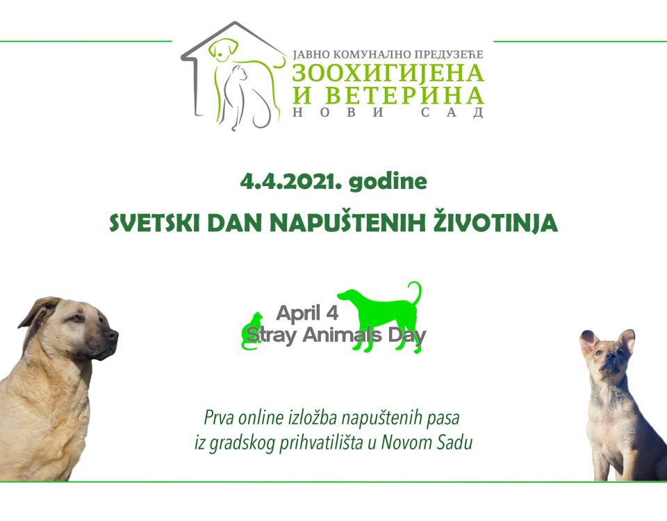 Online izložba napuštenih životinja iz gradnkog Prihvatilišta u Novom Sadu - 4.4.2021.
